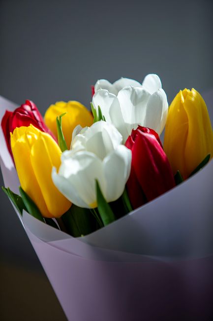 A close-up of a bouquet of fresh tulips arranged in a white wrapping paper, featuring vibrant red, yellow, and white blossoms with green stems and leaves. The tulips are tightly packed and displayed u